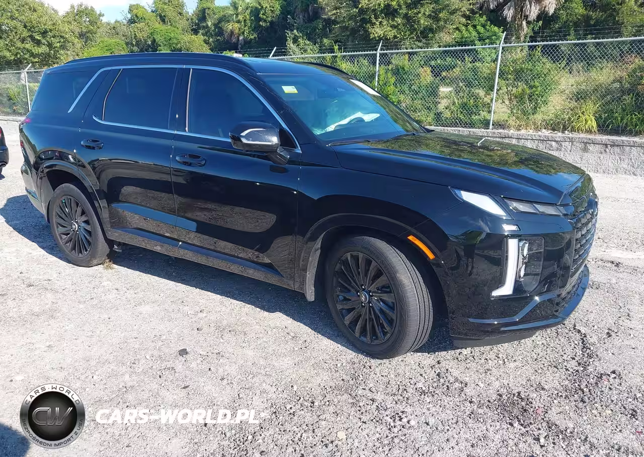 2025 Hyundai Palisade Calligraphy Night Edition