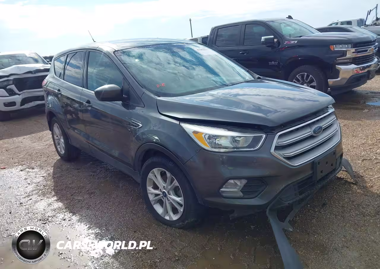 2019 Ford Escape Se