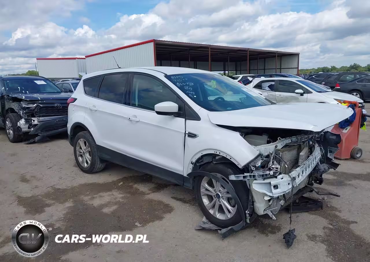 2019 Ford Escape Se