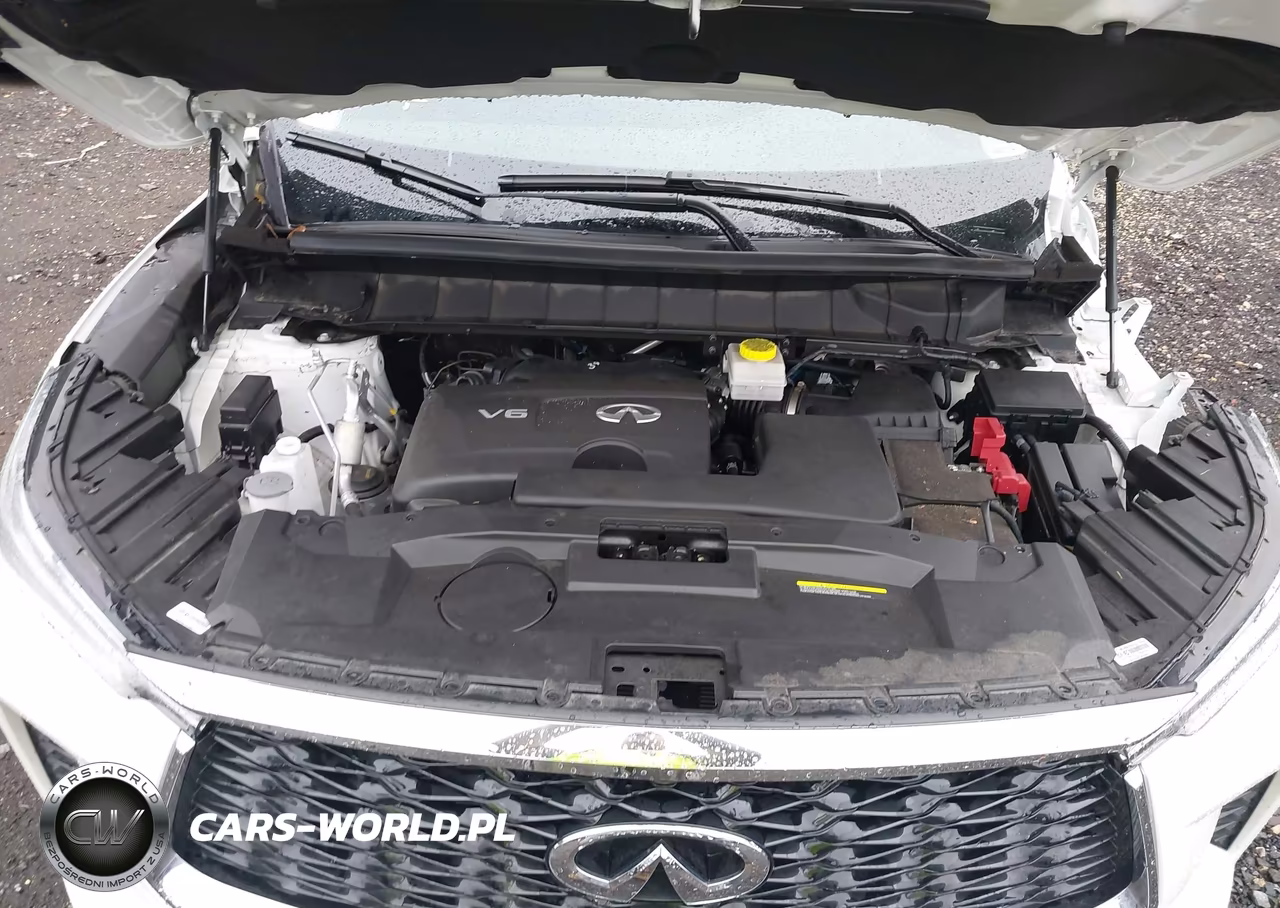 2024 Infiniti Qx60 Luxe Awd VIN:5N1DL1FS1RC340661 - 10