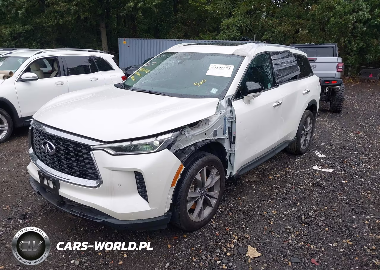 2024 Infiniti Qx60 Luxe Awd VIN:5N1DL1FS1RC340661 - 6