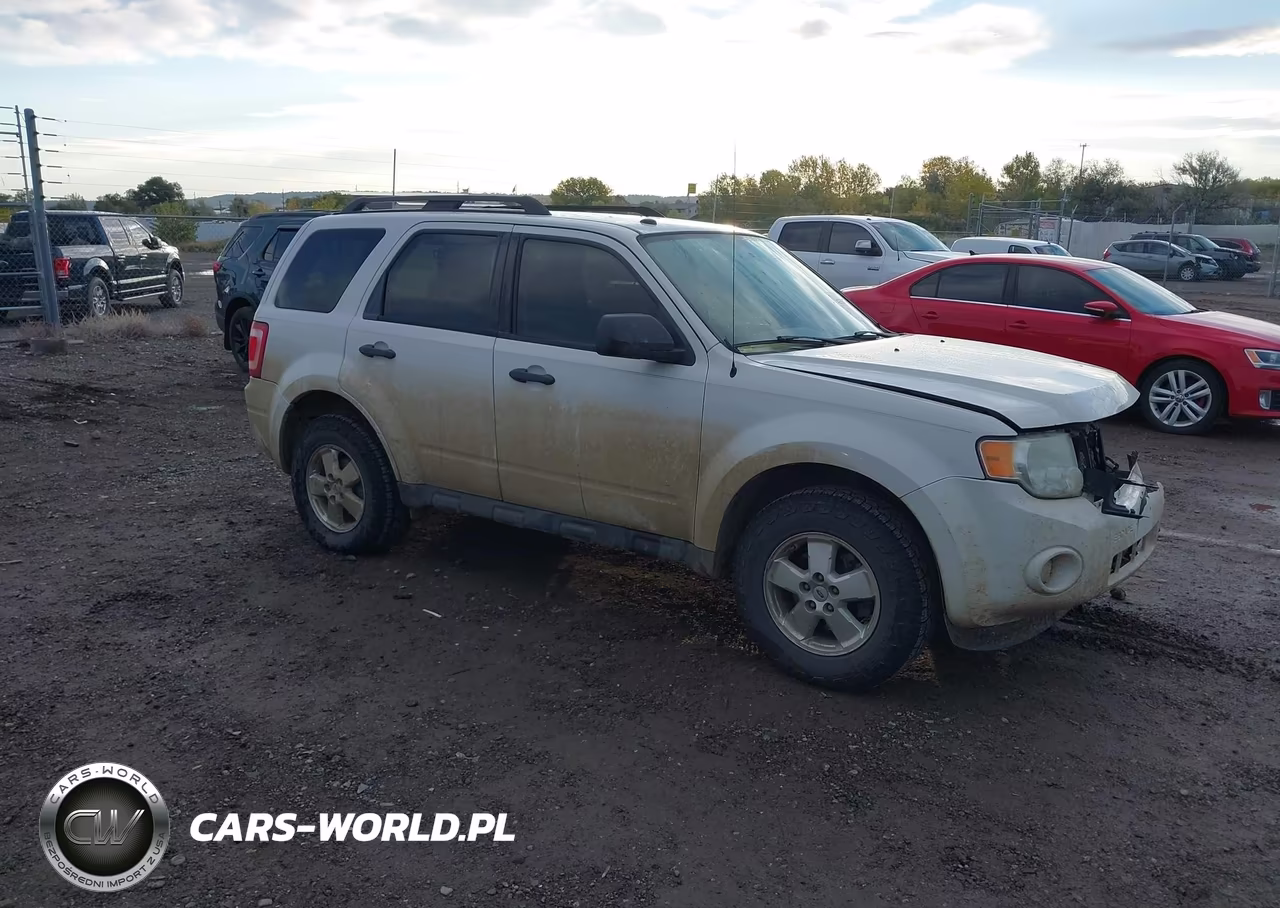 2011 Ford Escape Xlt