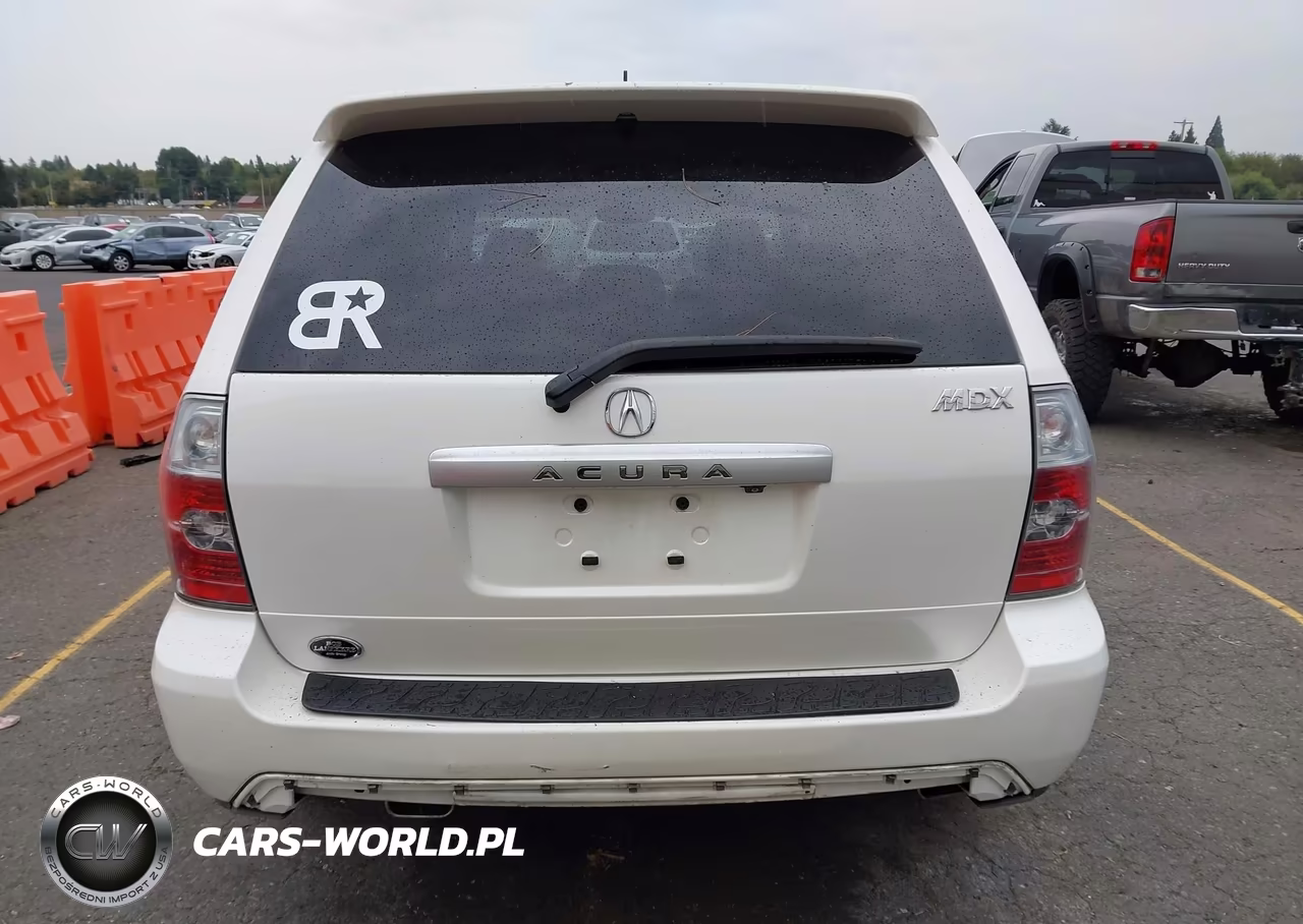 2005 Acura Mdx VIN:2HNYD189X5H529064 - 19