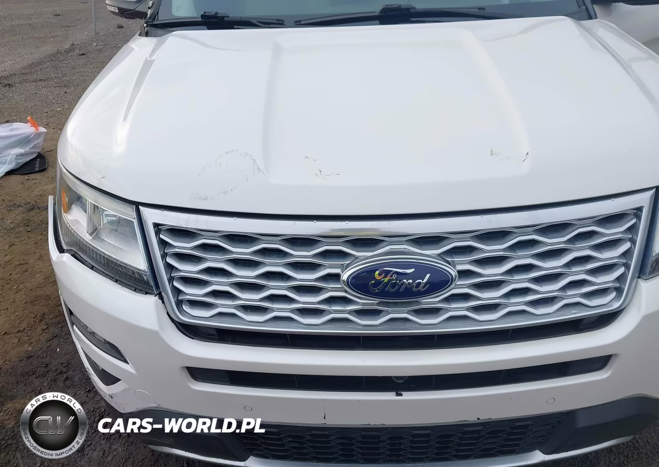 2016 Ford Explorer Platinum VIN:1FM5K8HT3GGC10702 - 18