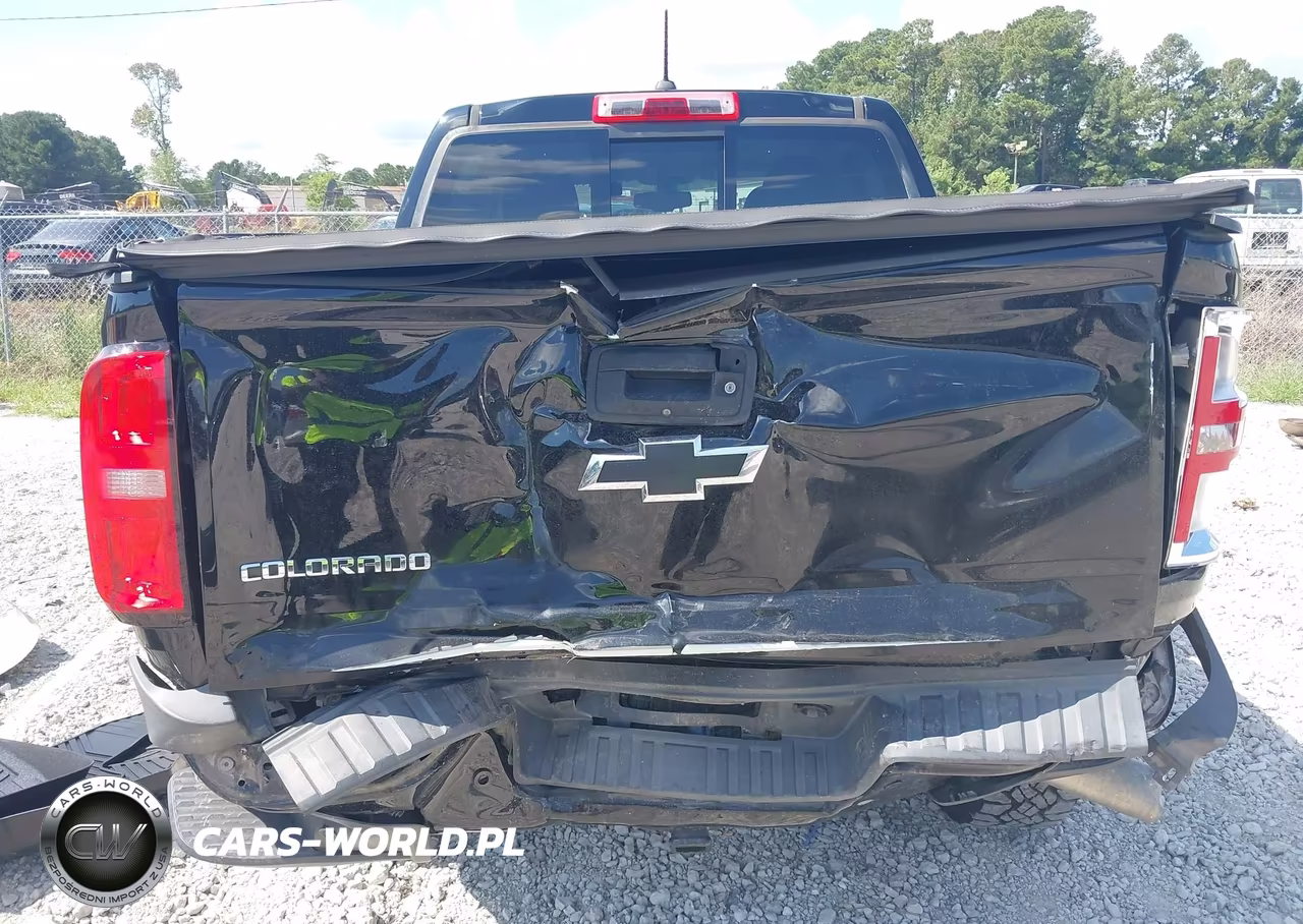2019 Chevrolet Colorado Z71 VIN:1GCPTDE1XK1133232 - 6