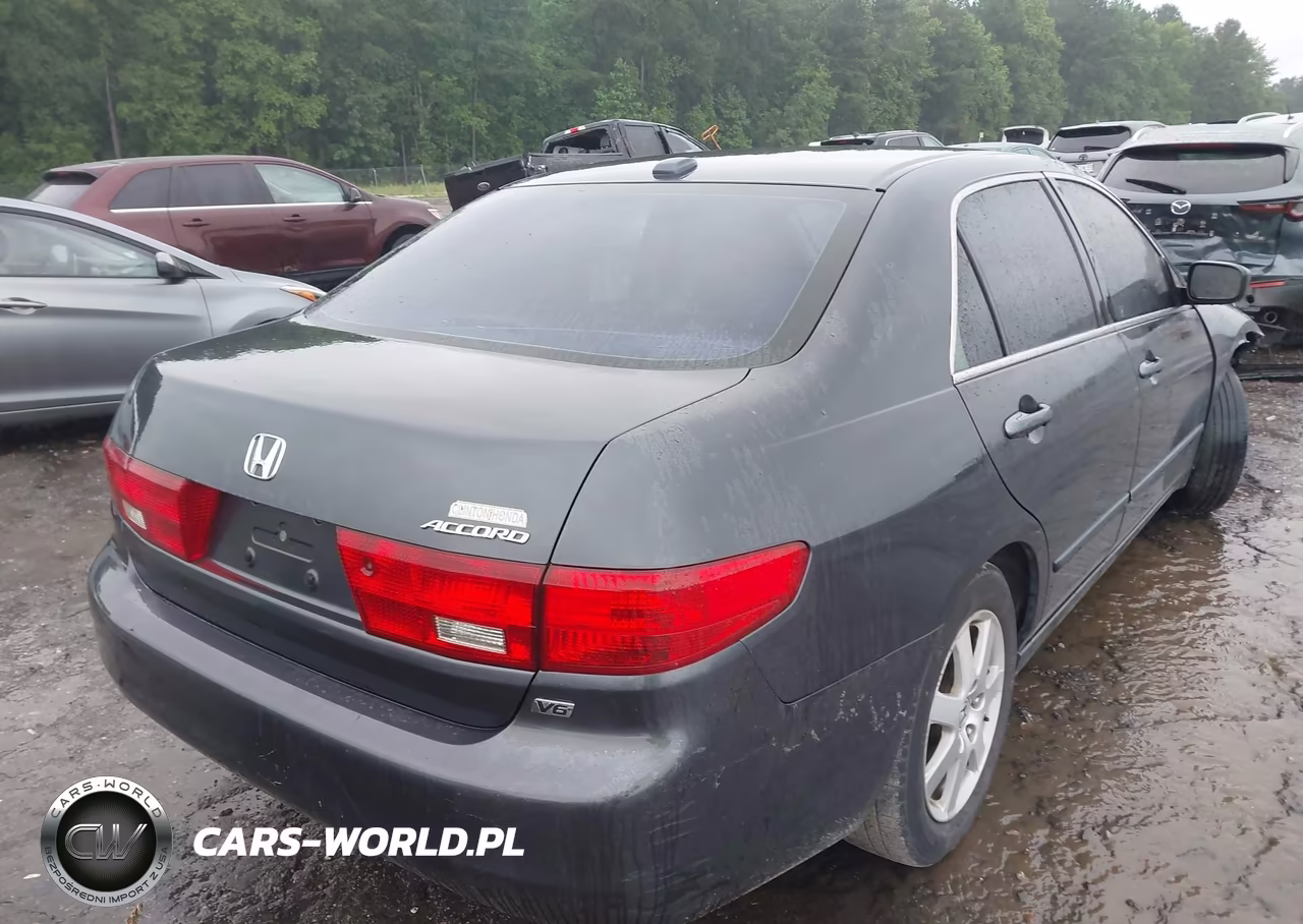 2005 Honda Accord 3.0 Ex VIN:1HGCM66585A007031 - 4