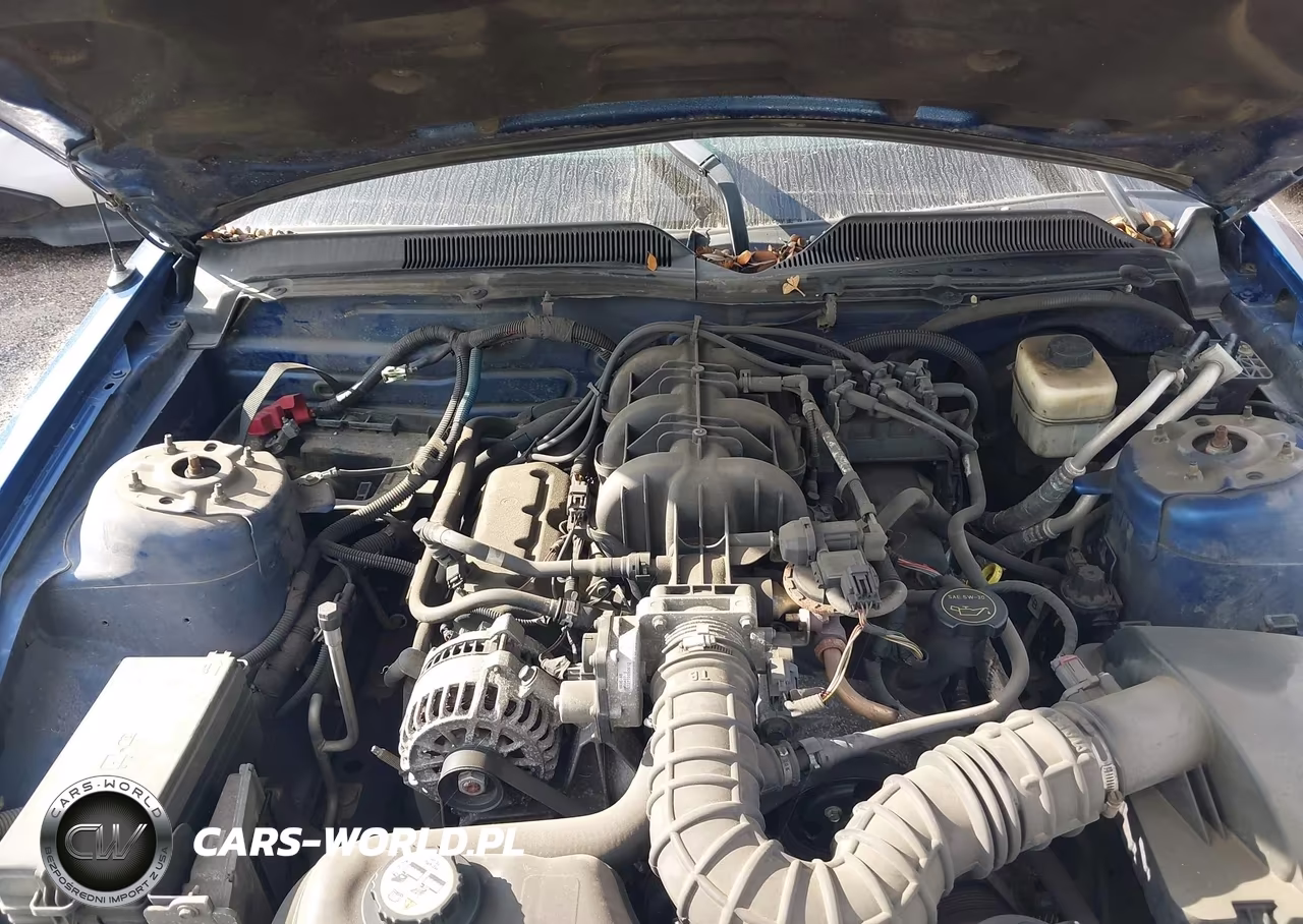 2008 Ford Mustang V6 Deluxe-V6 Premium VIN:1ZVHT80N485198999 - 10