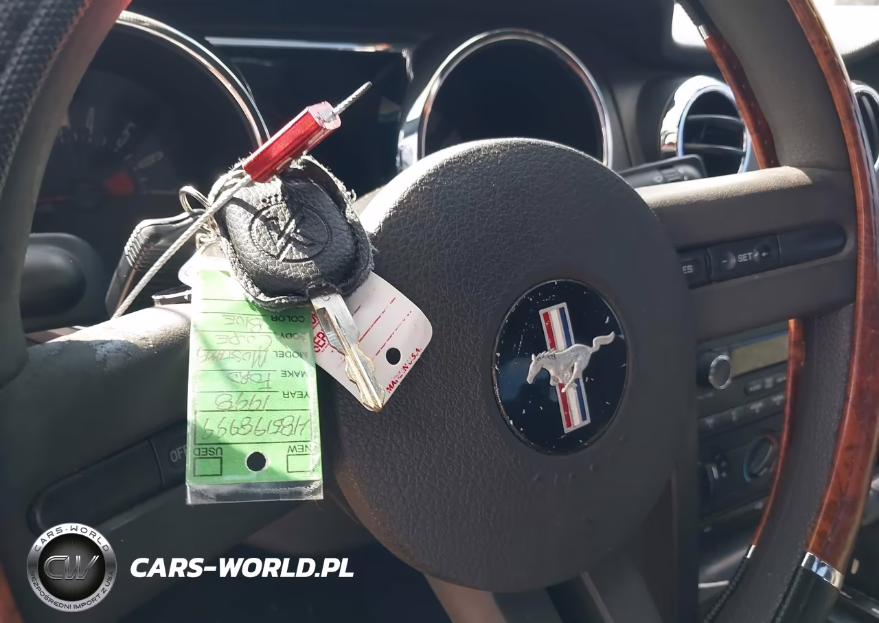 2008 Ford Mustang V6 Deluxe-V6 Premium VIN:1ZVHT80N485198999 - 11