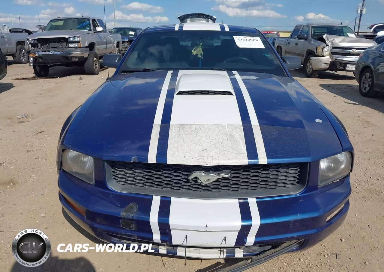 2008 Ford Mustang V6 Deluxe-V6 Premium VIN:1ZVHT80N485198999 - 12