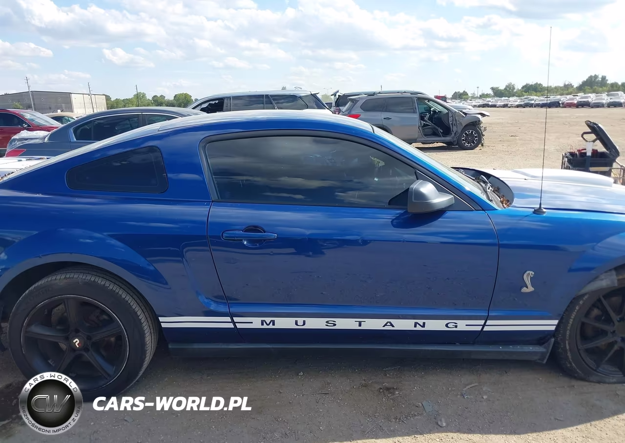 2008 Ford Mustang V6 Deluxe-V6 Premium VIN:1ZVHT80N485198999 - 13