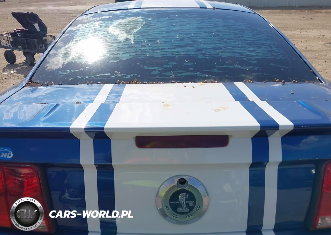 2008 Ford Mustang V6 Deluxe-V6 Premium VIN:1ZVHT80N485198999 - 16