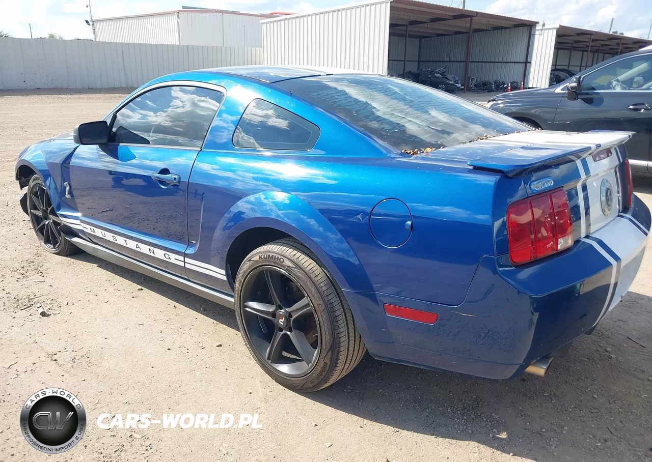 2008 Ford Mustang V6 Deluxe-V6 Premium VIN:1ZVHT80N485198999 - 3