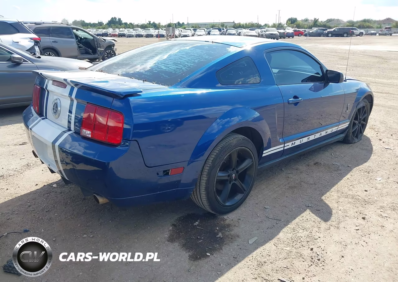 2008 Ford Mustang V6 Deluxe-V6 Premium VIN:1ZVHT80N485198999 - 4