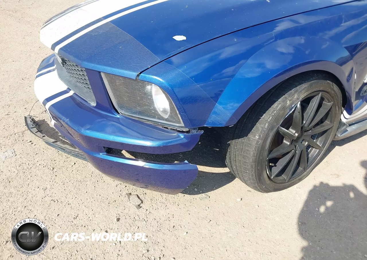 2008 Ford Mustang V6 Deluxe-V6 Premium VIN:1ZVHT80N485198999 - 6