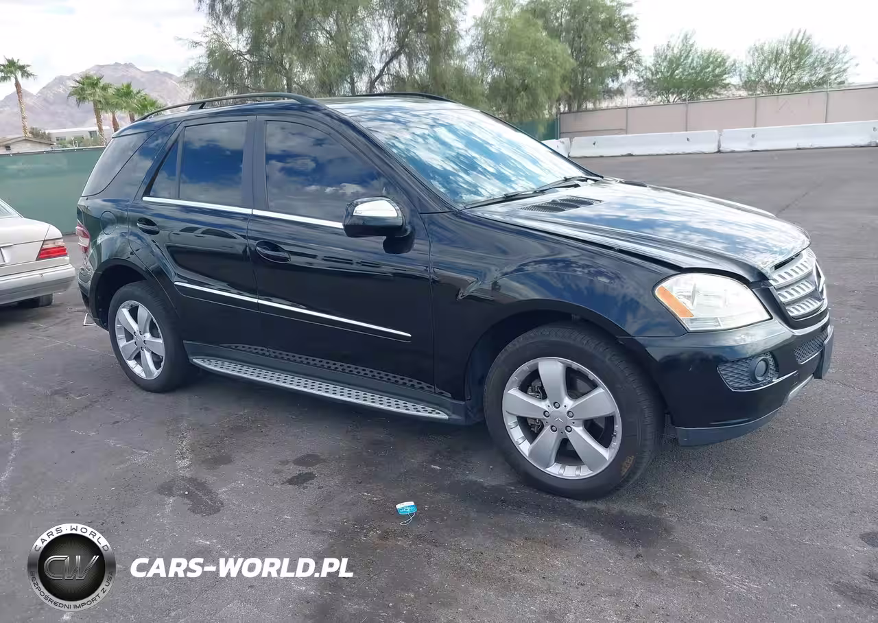 2010 Mercedes-Benz Ml 350 4Matic