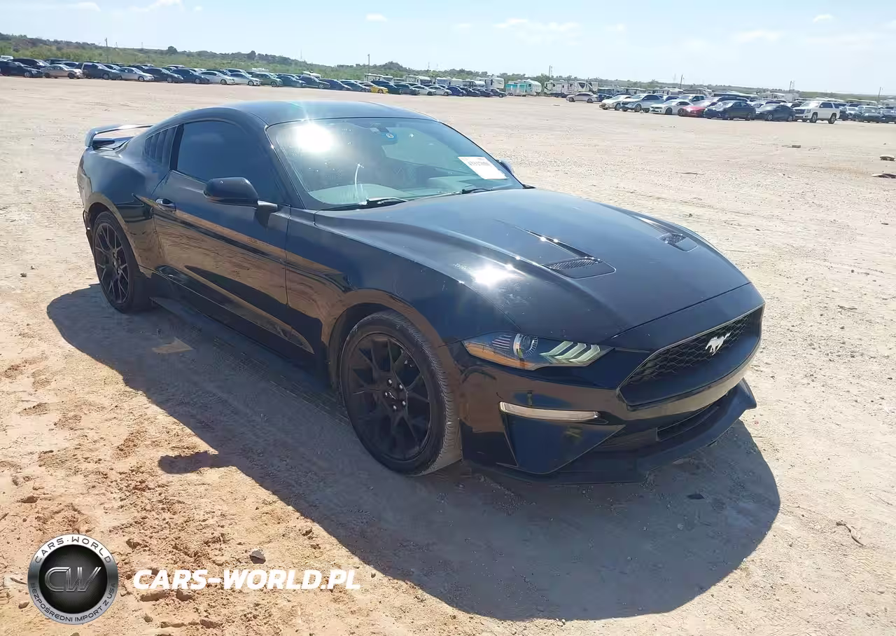 2019 Ford Mustang Ecoboost