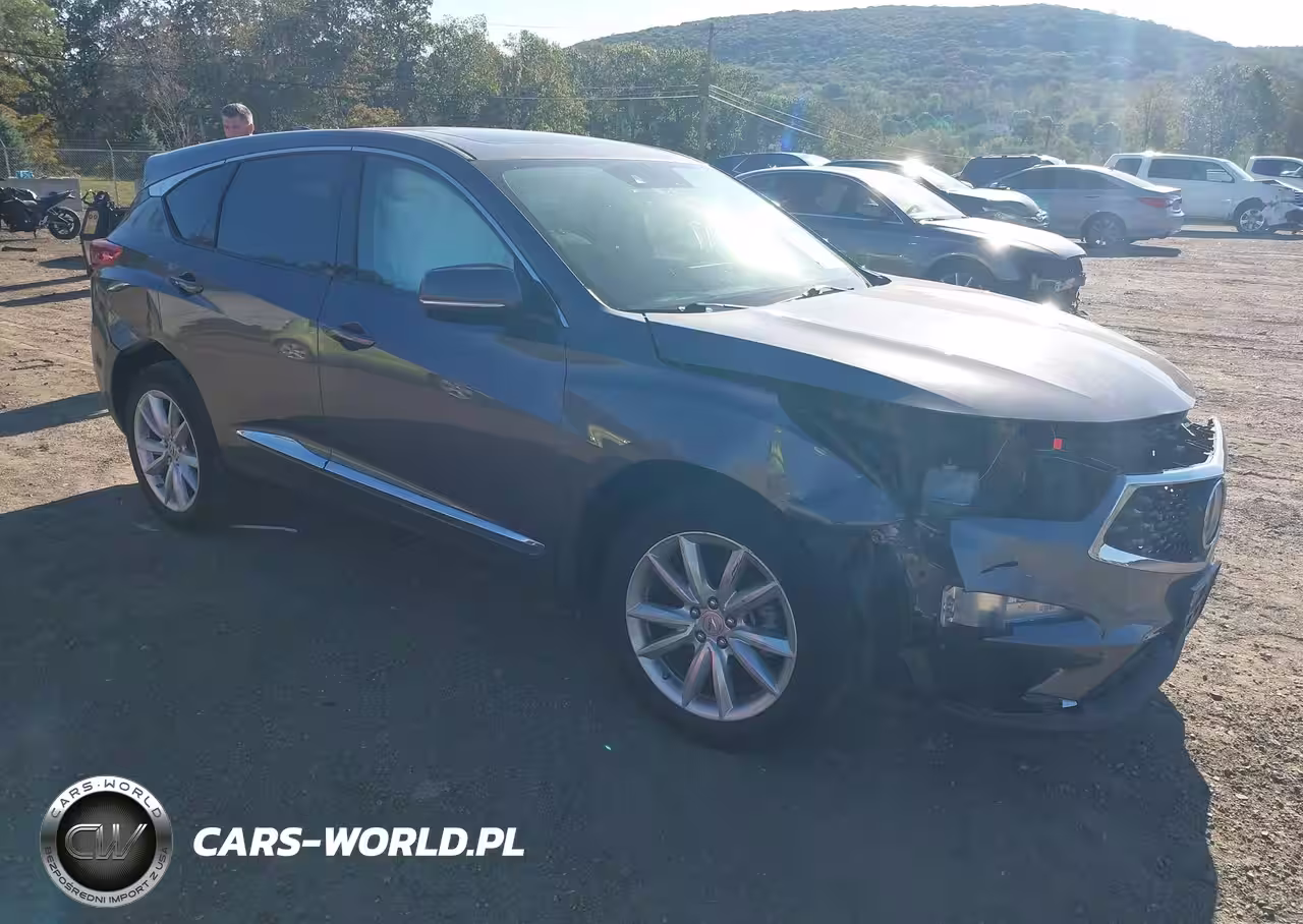 2019 Acura Rdx Standard