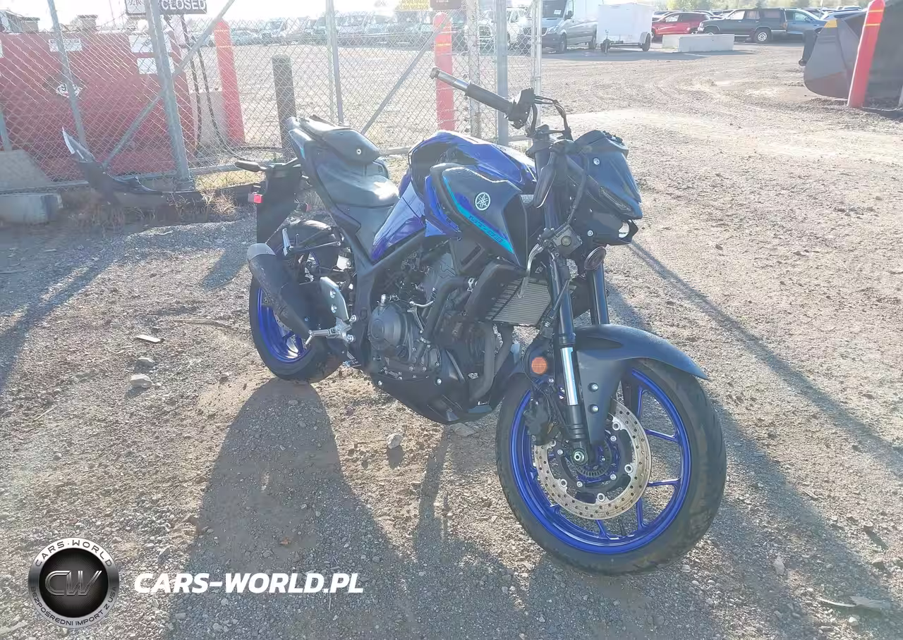 2025 Yamaha Mtn320 A