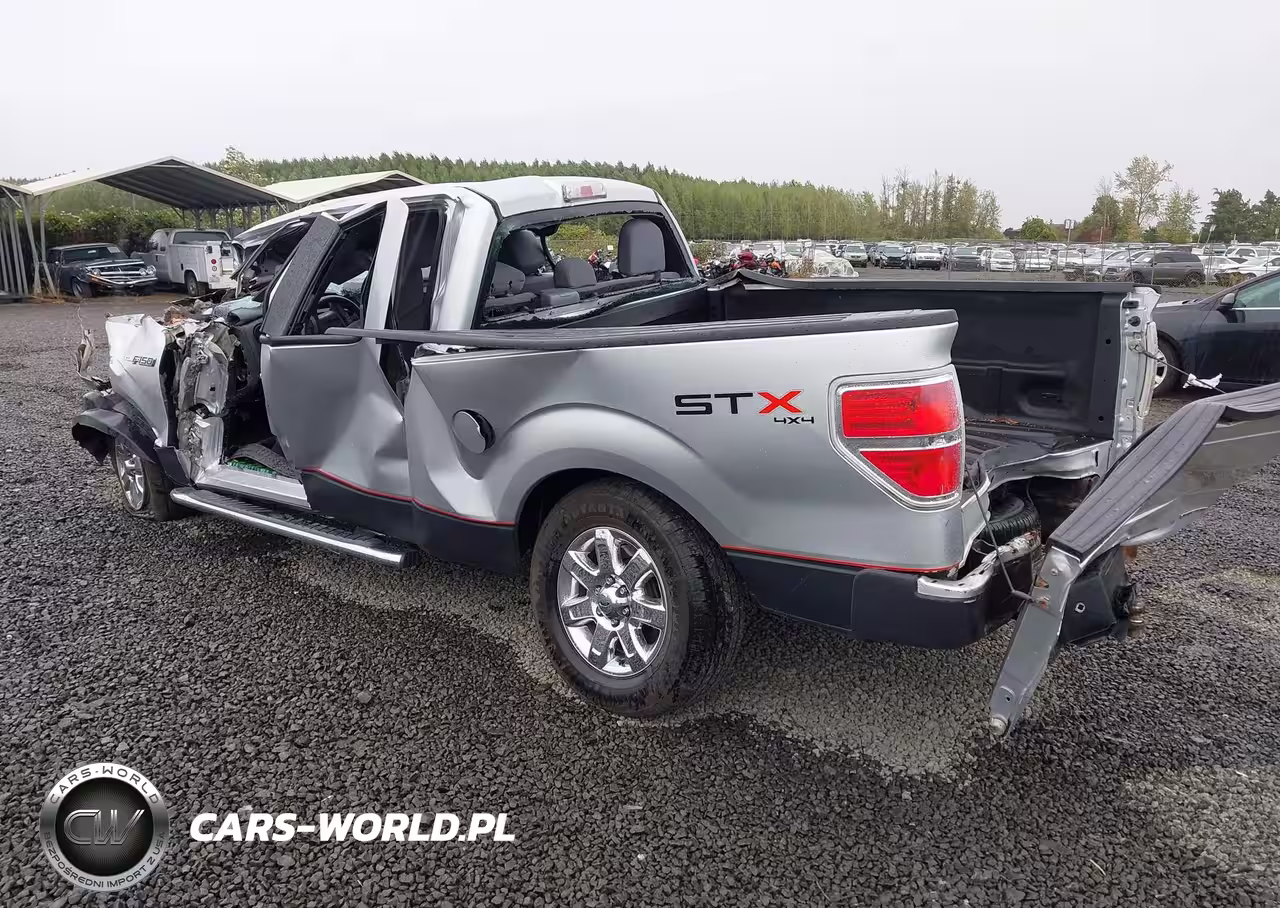2013 Ford F-150 Stx VIN:1FTFX1EF0DFB33501 - 3