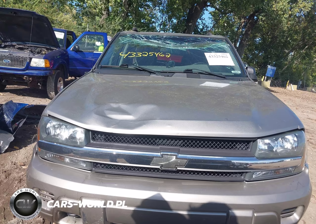 2003 Chevrolet Trailblazer Ls VIN:1GNDT13S832351203 - 12
