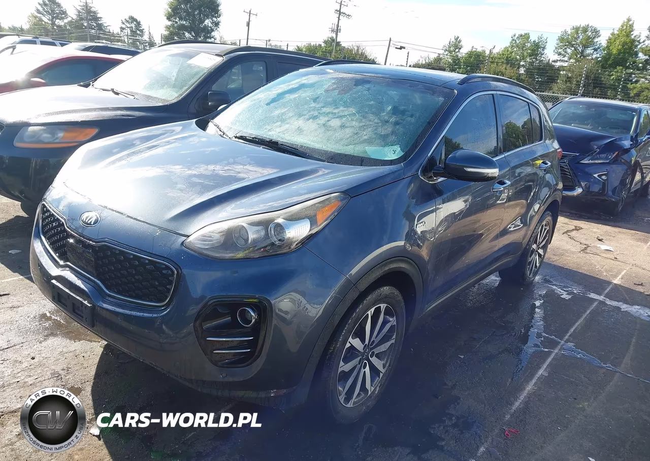 2019 Kia Sportage Ex VIN:KNDPNCAC2K7499436 - 2