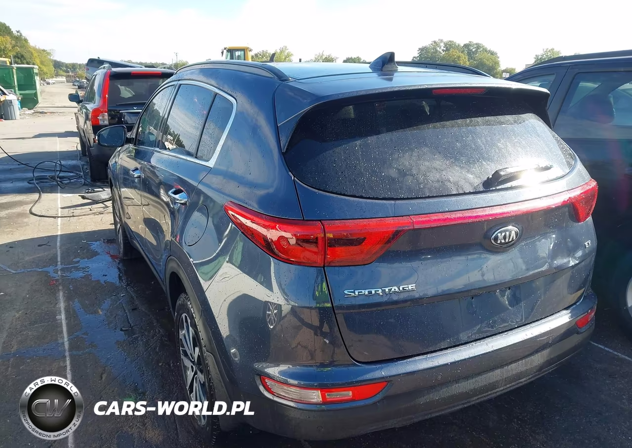 2019 Kia Sportage Ex VIN:KNDPNCAC2K7499436 - 3