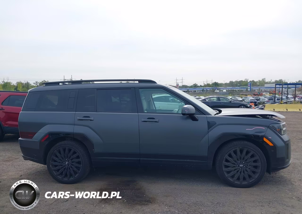 2025 Hyundai Santa Fe Calligraphy VIN:5NMP5DGLXSH106160 - 13