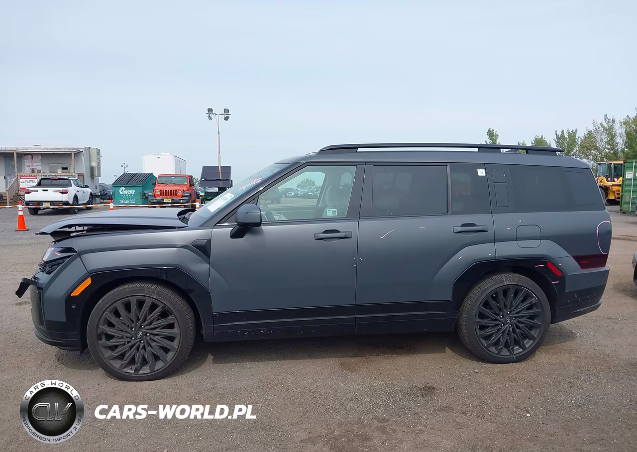 2025 Hyundai Santa Fe Calligraphy VIN:5NMP5DGLXSH106160 - 14