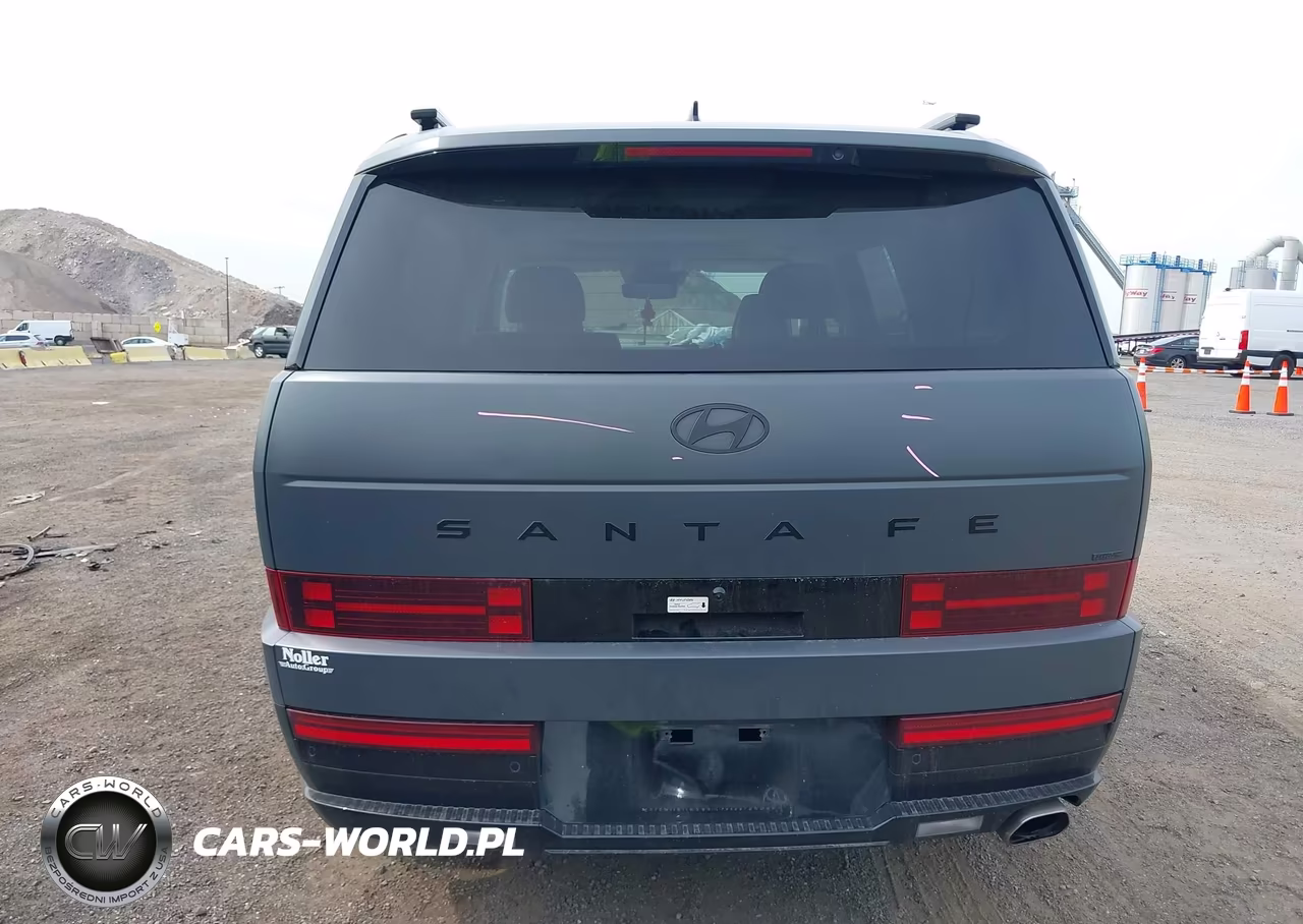 2025 Hyundai Santa Fe Calligraphy VIN:5NMP5DGLXSH106160 - 16