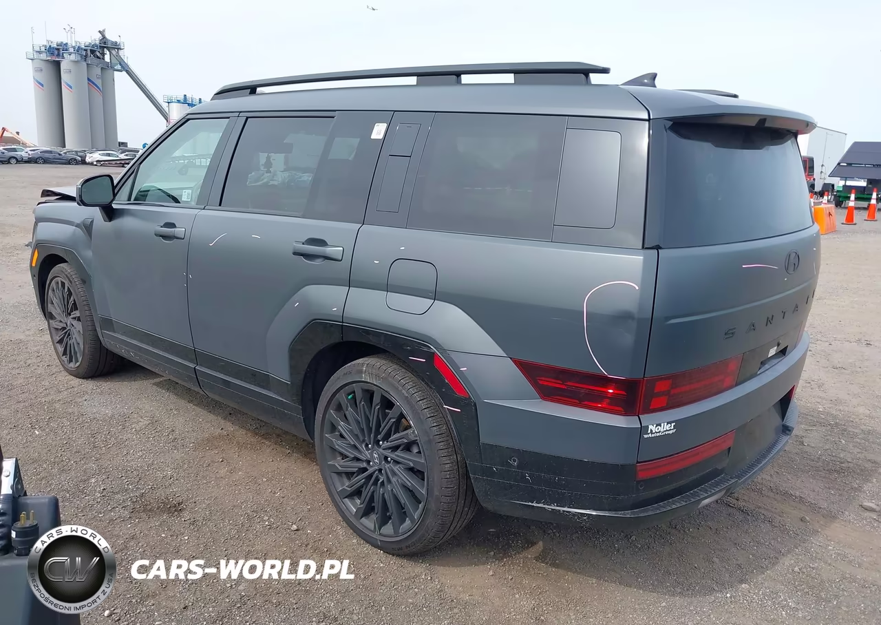 2025 Hyundai Santa Fe Calligraphy VIN:5NMP5DGLXSH106160 - 3