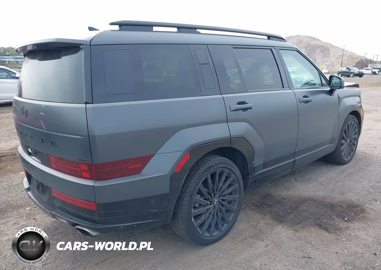 2025 Hyundai Santa Fe Calligraphy VIN:5NMP5DGLXSH106160 - 4