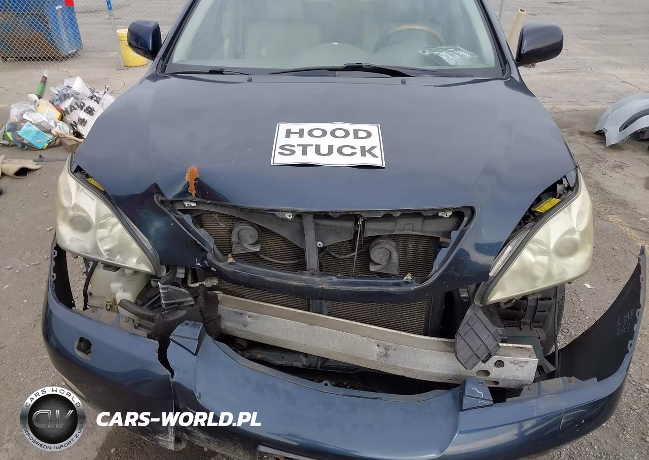 2004 Lexus Rx 330 VIN:2T2HA31U44C026529 - 10