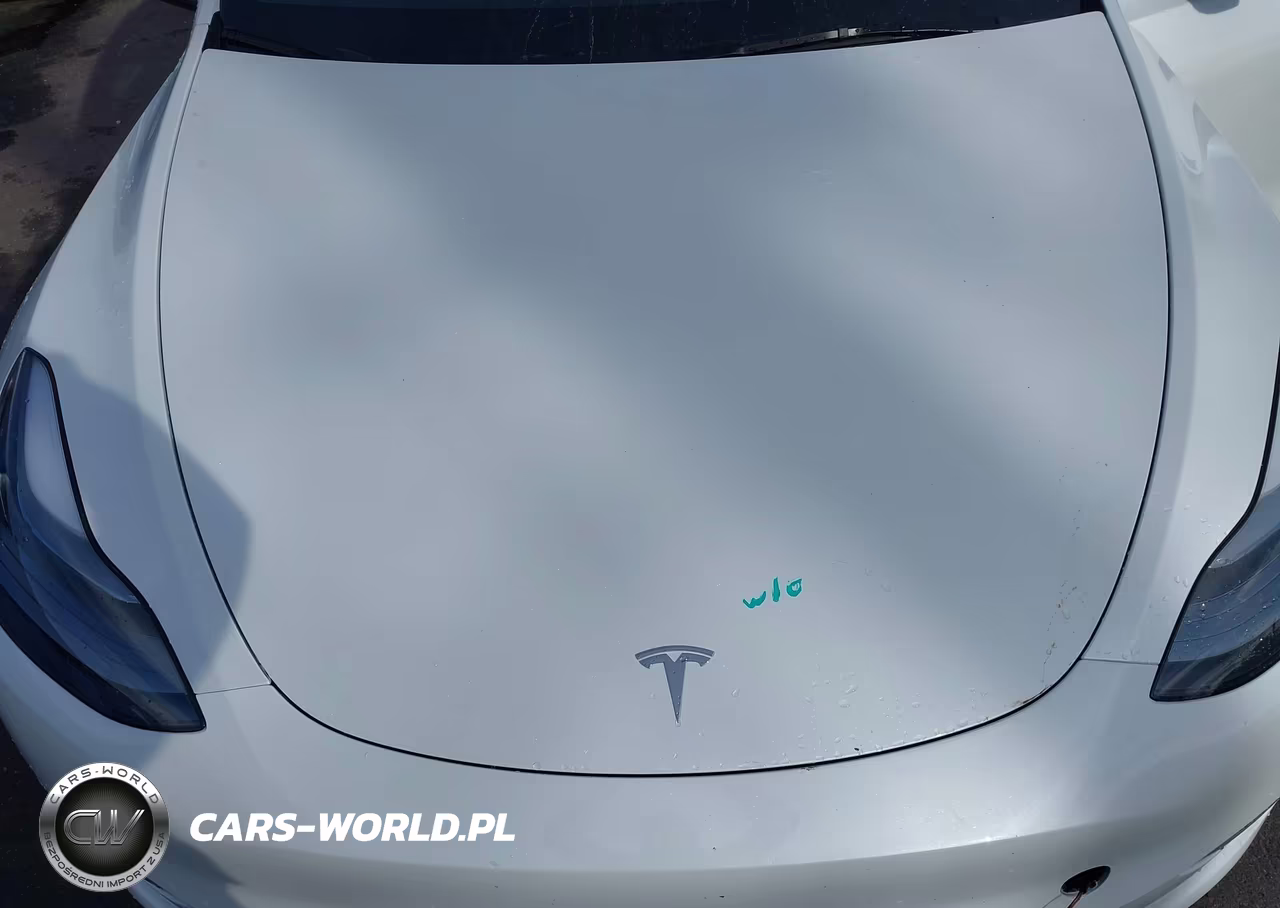 2025 Tesla Model Y Long Range Dual Motor All-Wheel Drive VIN:7SAYGDEE8SF295138 - 10