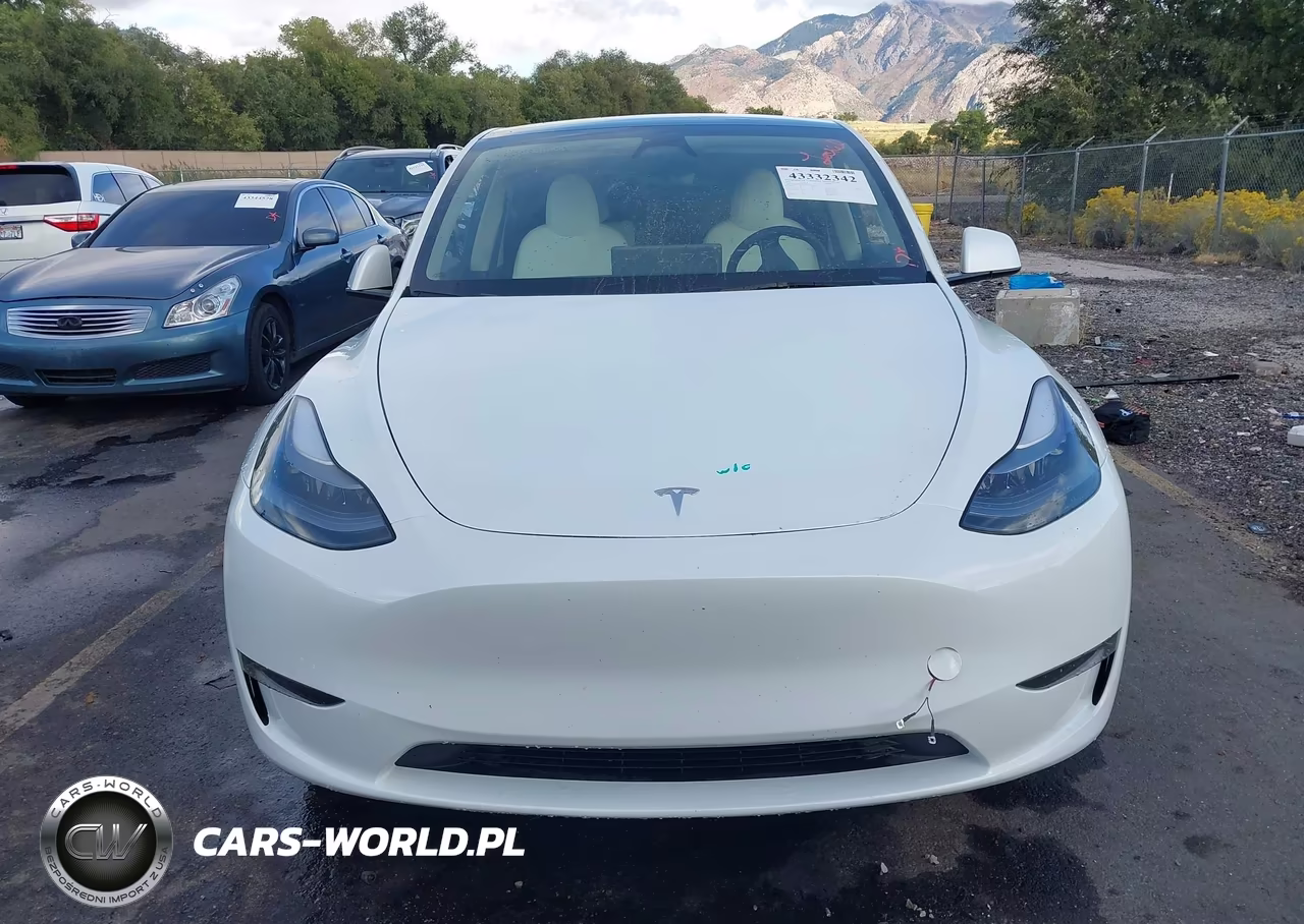 2025 Tesla Model Y Long Range Dual Motor All-Wheel Drive VIN:7SAYGDEE8SF295138 - 11
