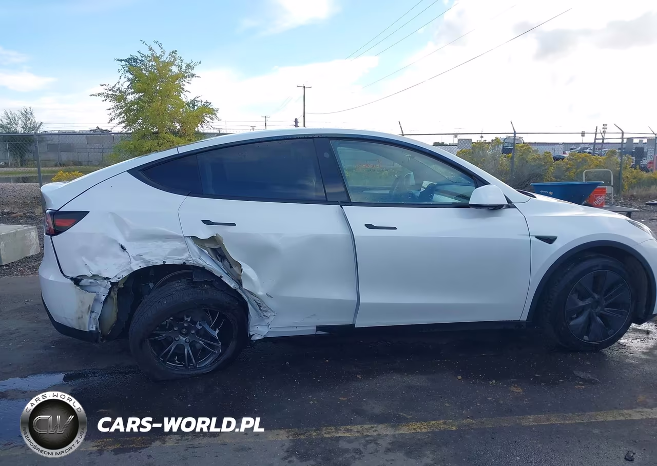 2025 Tesla Model Y Long Range Dual Motor All-Wheel Drive VIN:7SAYGDEE8SF295138 - 12