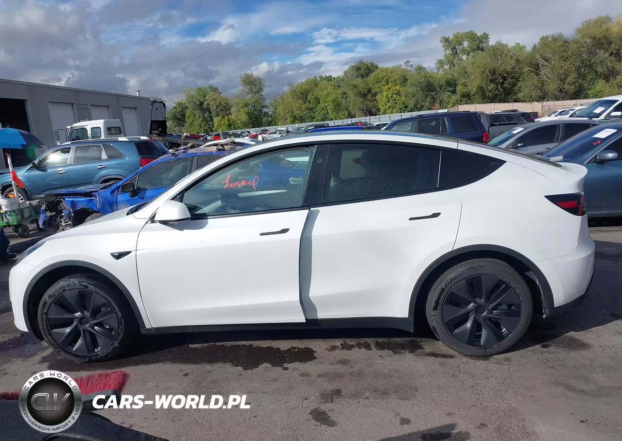 2025 Tesla Model Y Long Range Dual Motor All-Wheel Drive VIN:7SAYGDEE8SF295138 - 13