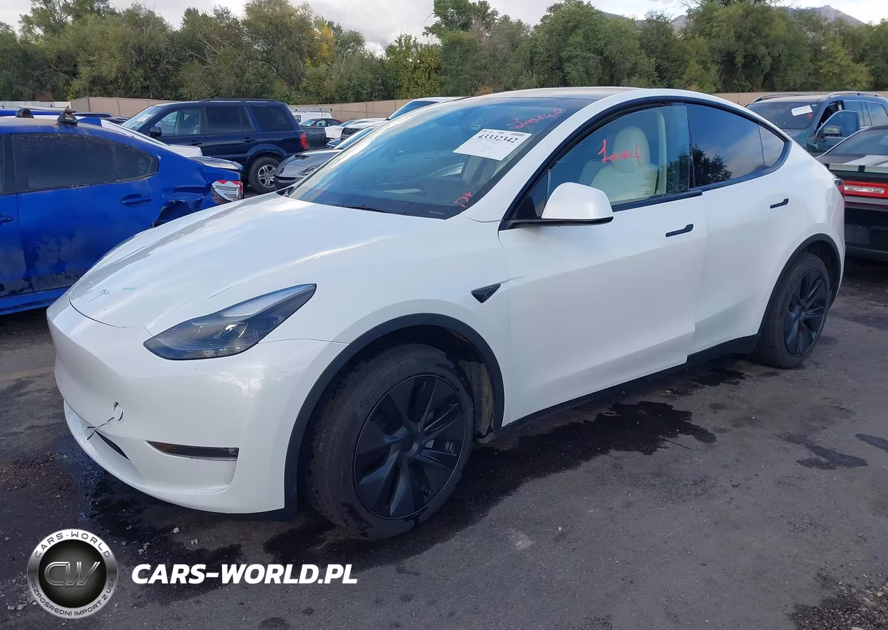 2025 Tesla Model Y Long Range Dual Motor All-Wheel Drive VIN:7SAYGDEE8SF295138 - 2