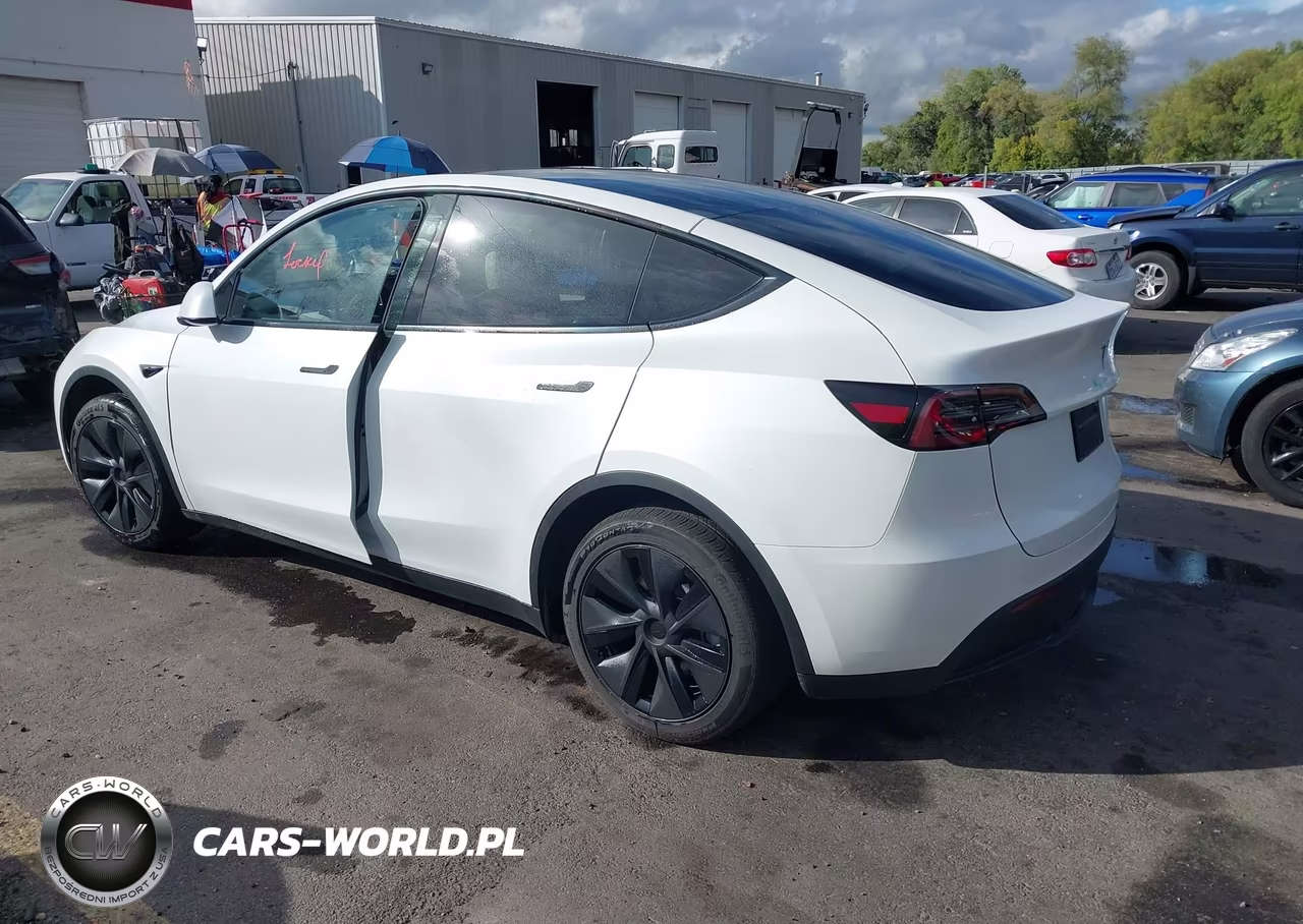 2025 Tesla Model Y Long Range Dual Motor All-Wheel Drive VIN:7SAYGDEE8SF295138 - 3