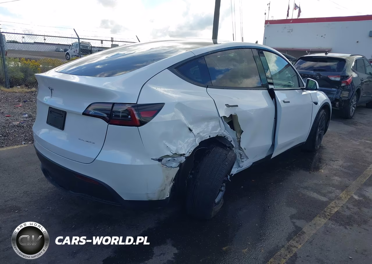 2025 Tesla Model Y Long Range Dual Motor All-Wheel Drive VIN:7SAYGDEE8SF295138 - 4