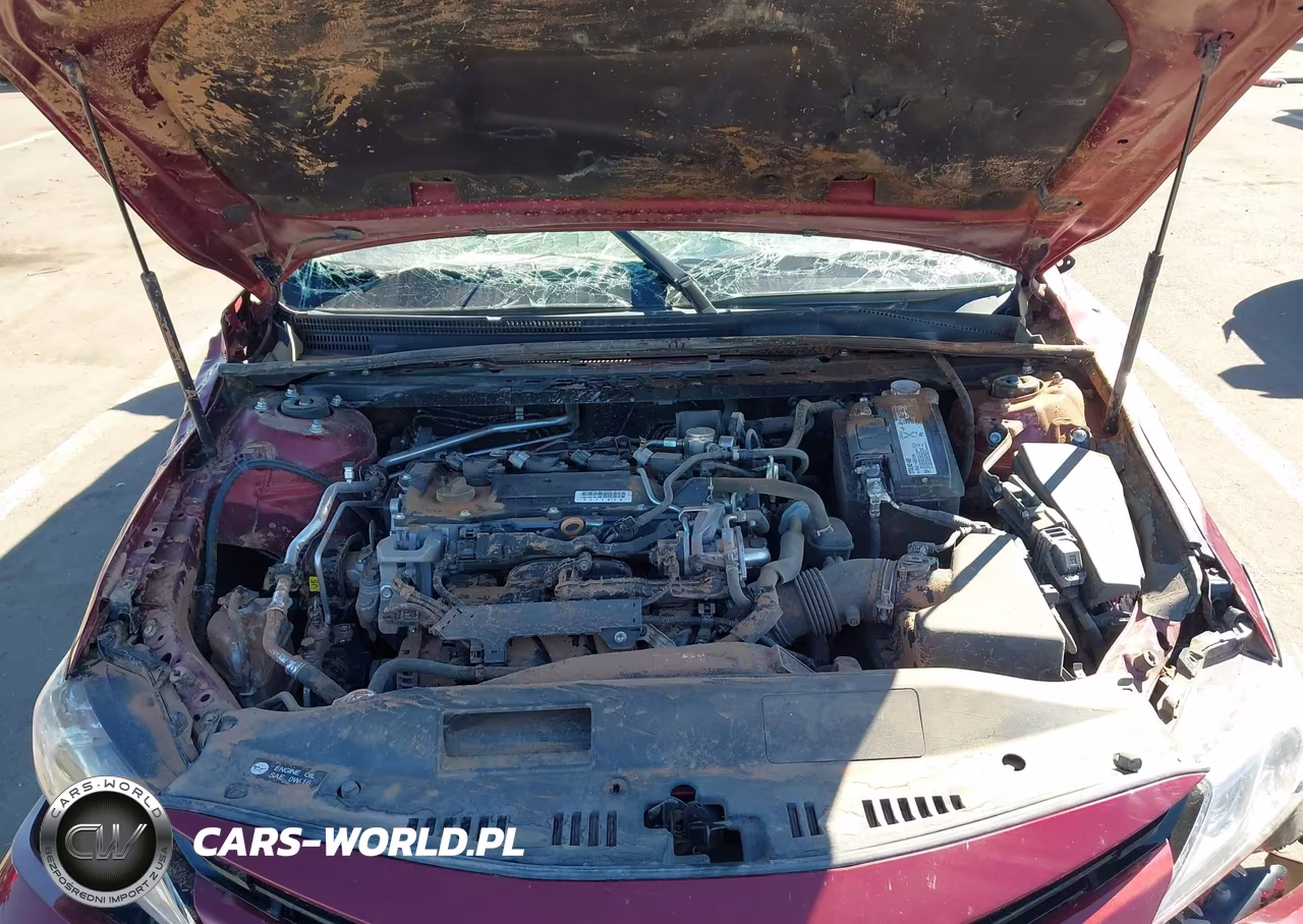 2019 Toyota Camry Xle VIN:4T1B11HK5KU725747 - 10