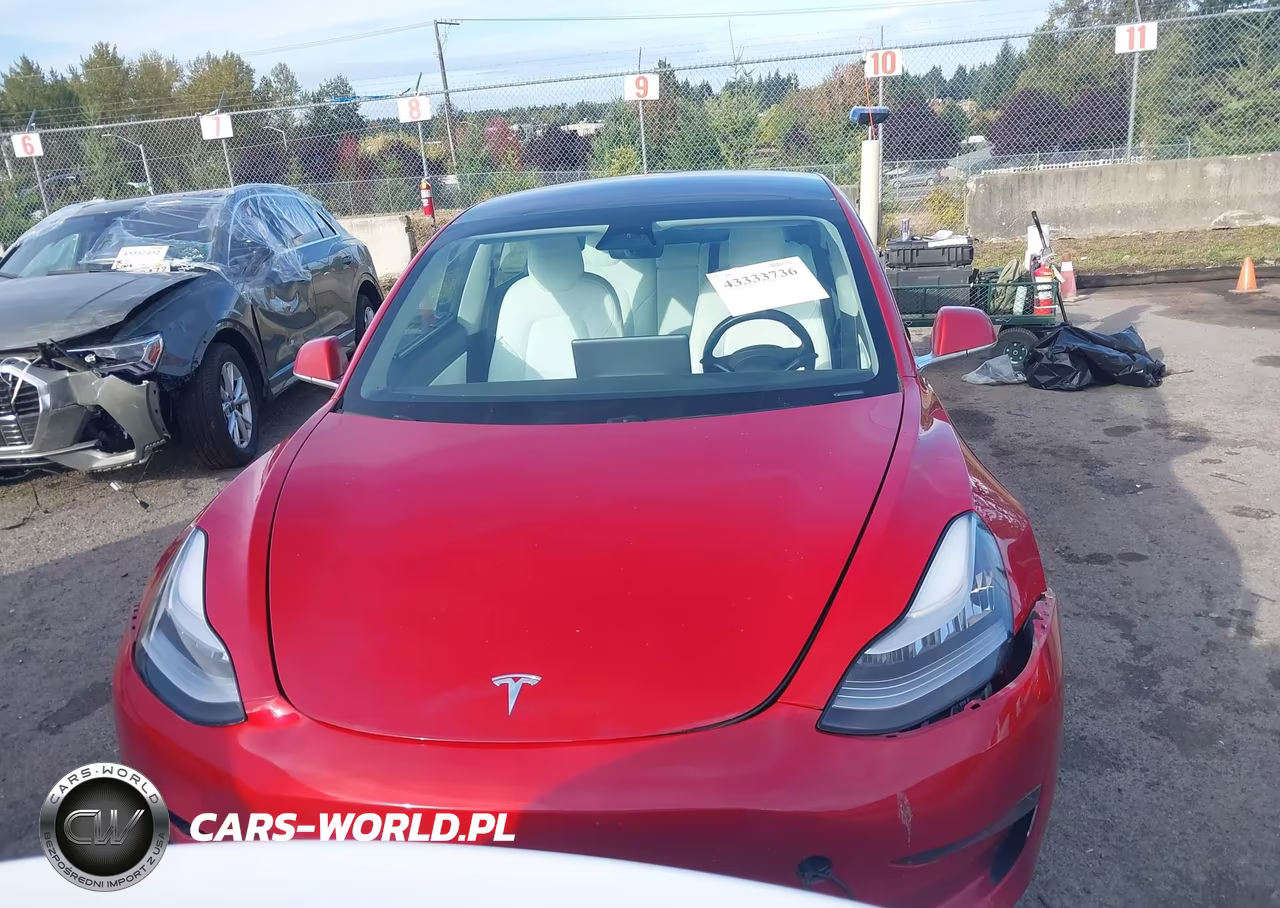 2019 Tesla Model 3 Long Range-Mid Range-Standard Range-Standard Range Plus VIN:5YJ3E1EA3KF302408 - 12