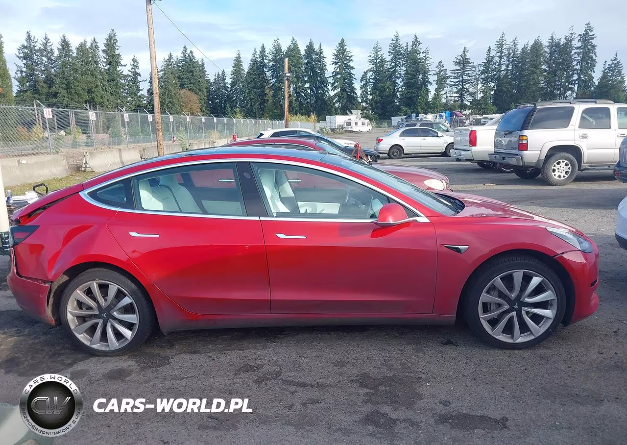 2019 Tesla Model 3 Long Range-Mid Range-Standard Range-Standard Range Plus VIN:5YJ3E1EA3KF302408 - 13