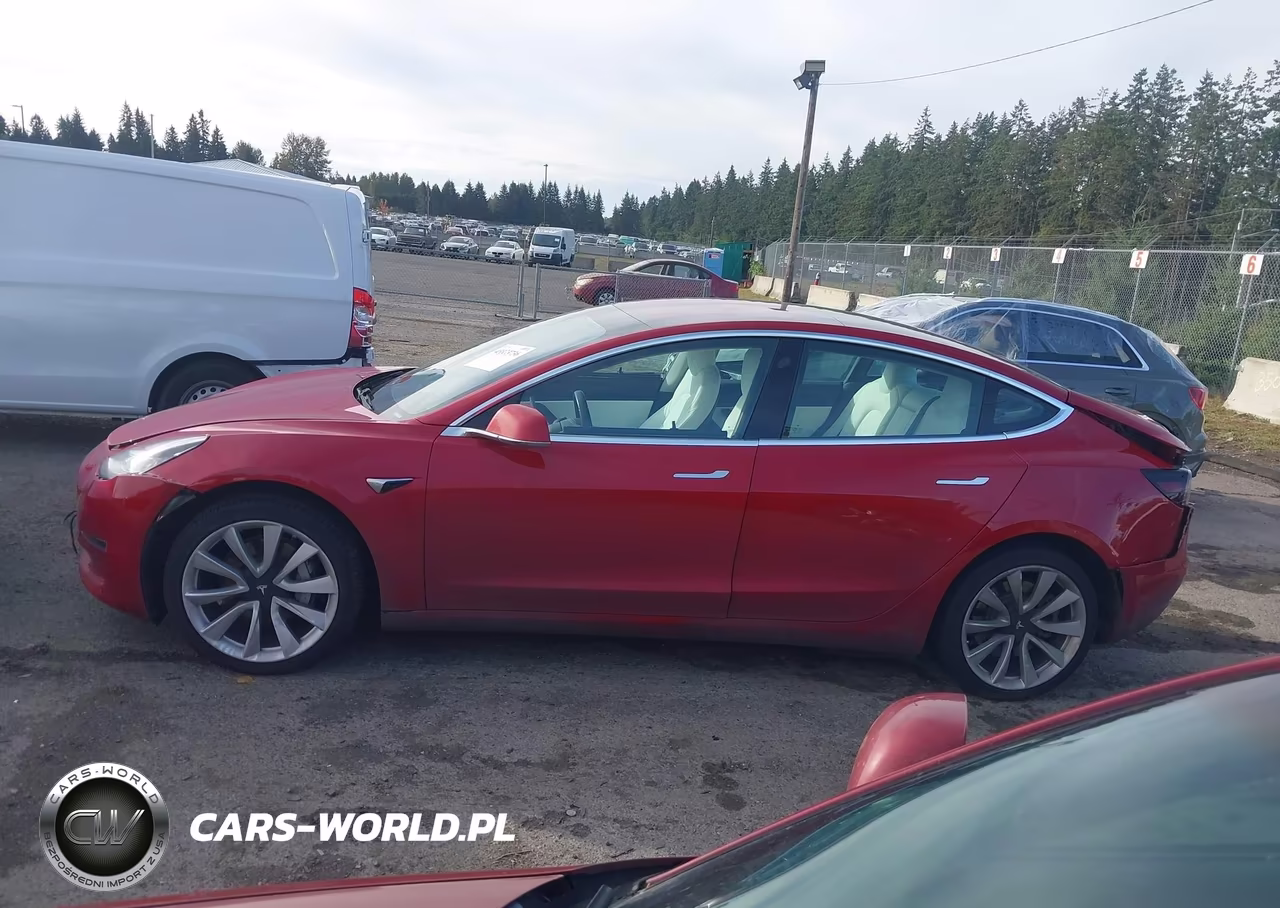 2019 Tesla Model 3 Long Range-Mid Range-Standard Range-Standard Range Plus VIN:5YJ3E1EA3KF302408 - 14