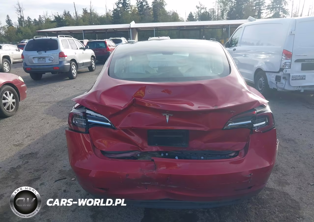 2019 Tesla Model 3 Long Range-Mid Range-Standard Range-Standard Range Plus VIN:5YJ3E1EA3KF302408 - 16