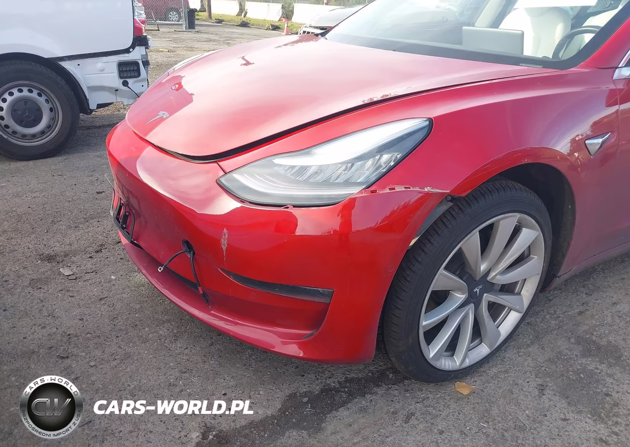 2019 Tesla Model 3 Long Range-Mid Range-Standard Range-Standard Range Plus VIN:5YJ3E1EA3KF302408 - 19