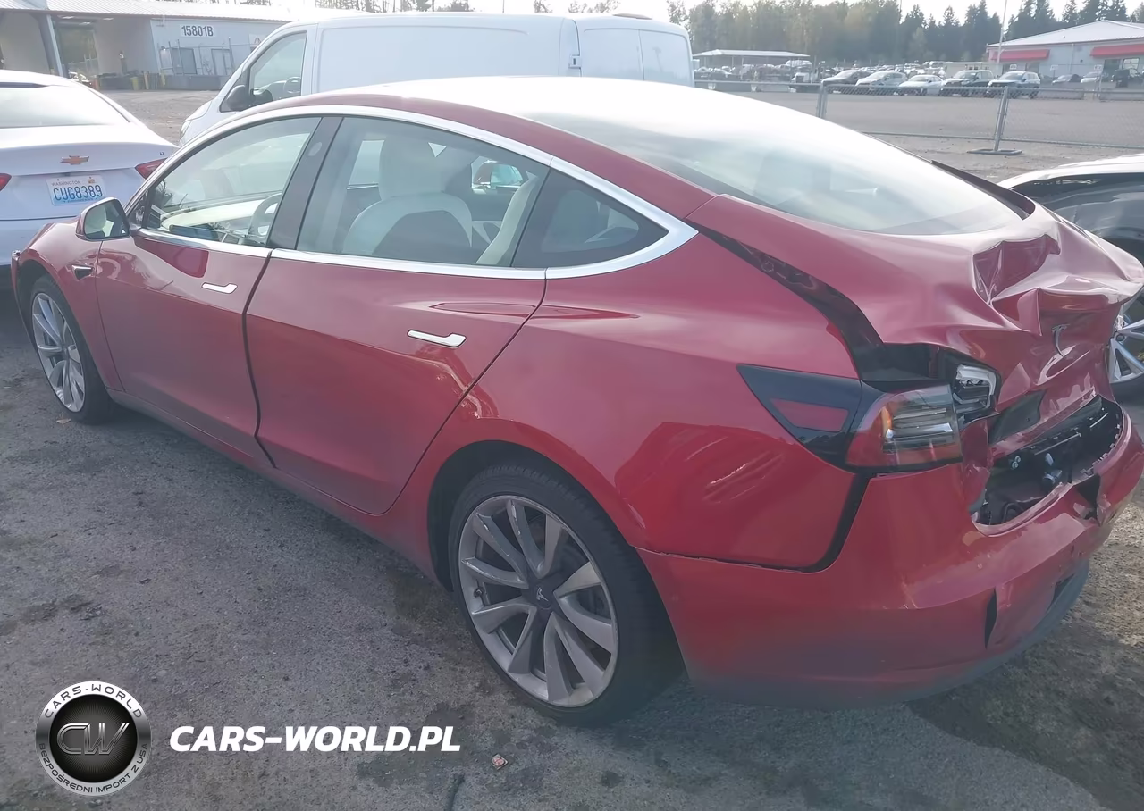 2019 Tesla Model 3 Long Range-Mid Range-Standard Range-Standard Range Plus VIN:5YJ3E1EA3KF302408 - 3