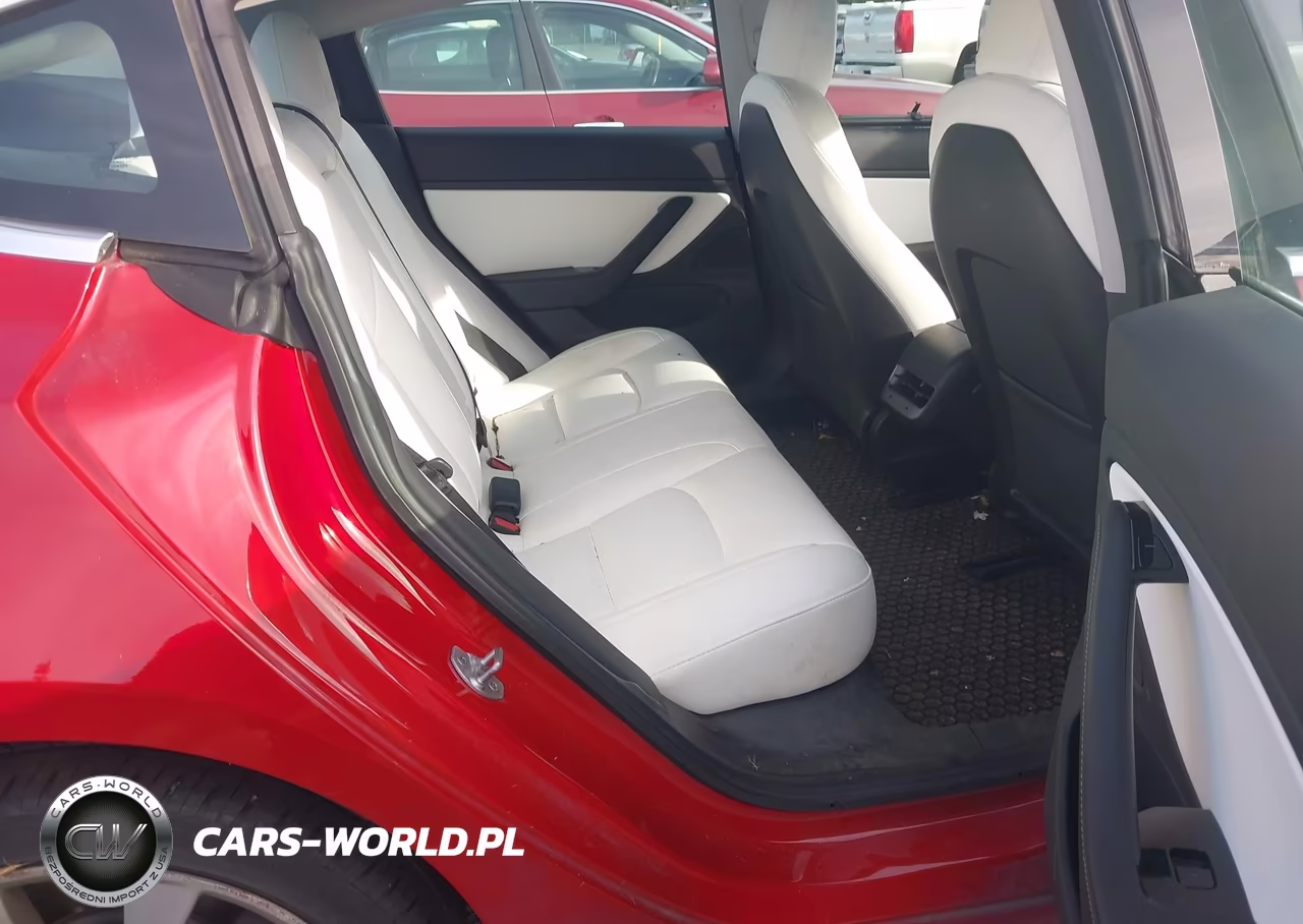2019 Tesla Model 3 Long Range-Mid Range-Standard Range-Standard Range Plus VIN:5YJ3E1EA3KF302408 - 8
