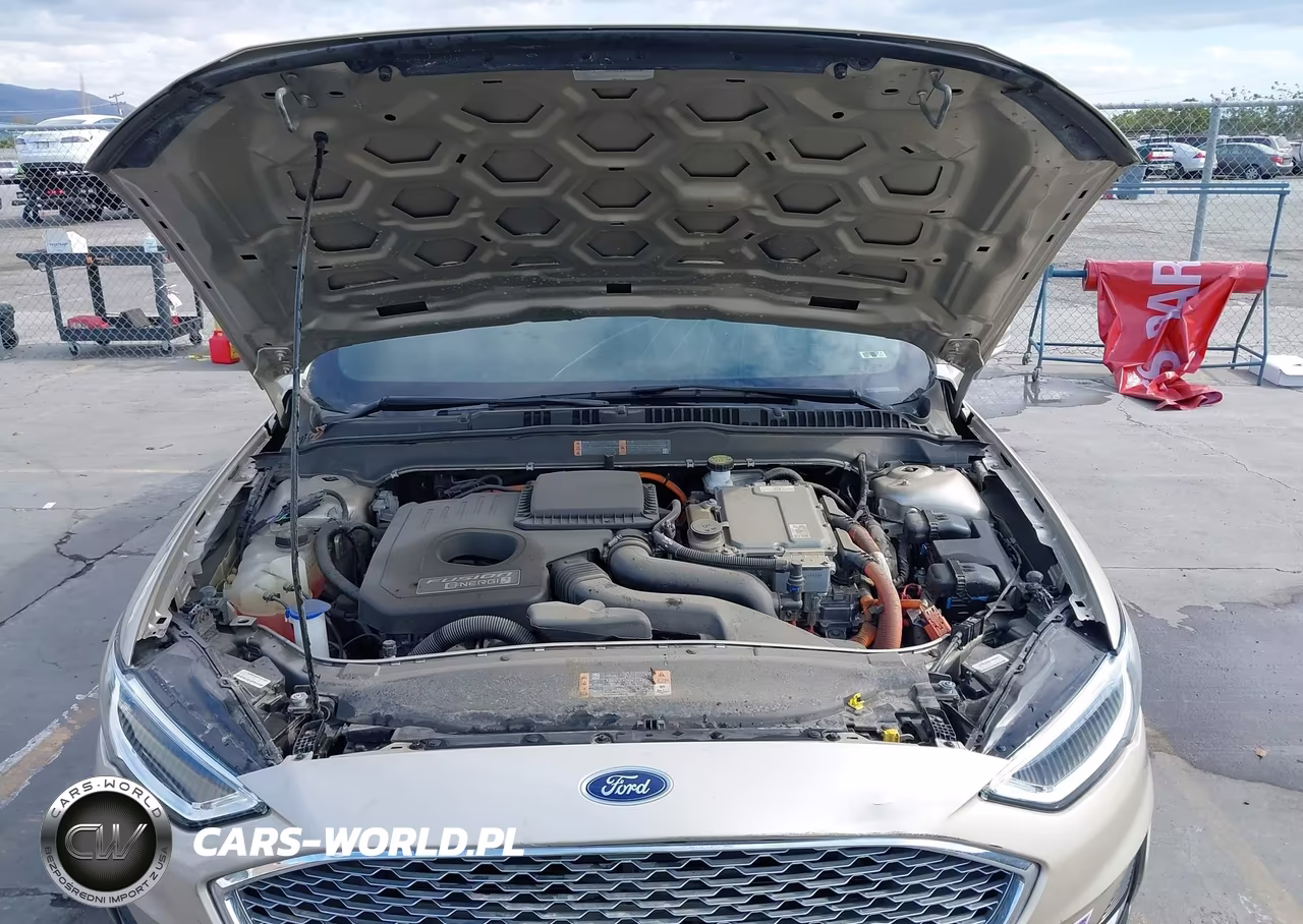 2019 Ford Fusion Energi Titanium VIN:3FA6P0SU1KR216096 - 10