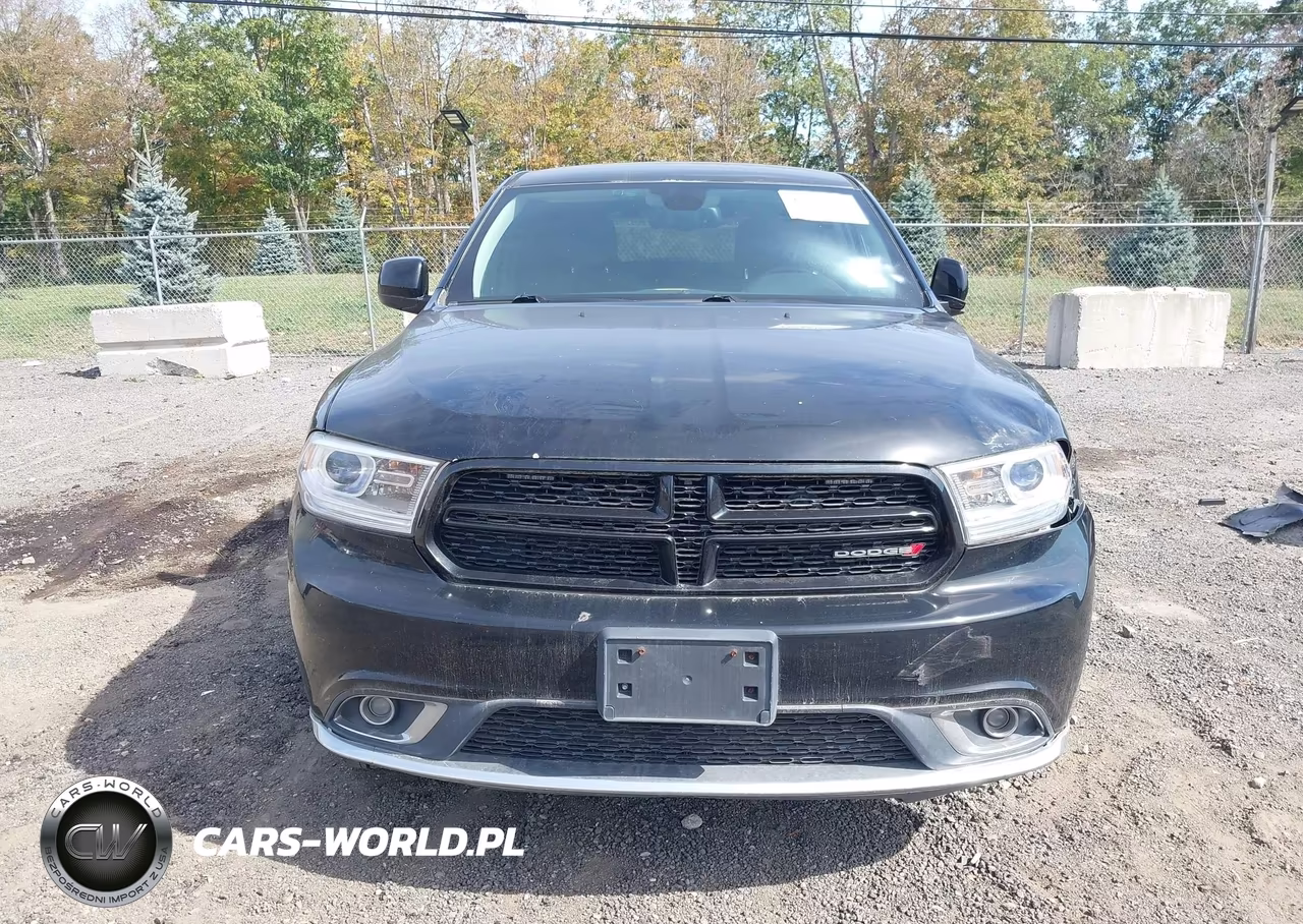 2016 Dodge Durango Special Service VIN:1C4RDJFG0GC449614 - 12