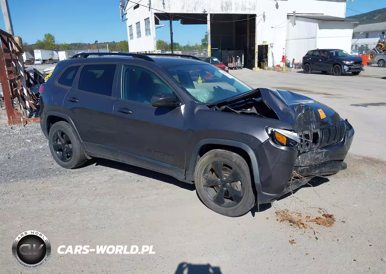 2019 Jeep Cherokee Altitude 4X4